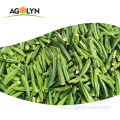 Healthy Snacks VF Dried Okra Vegetable Chips